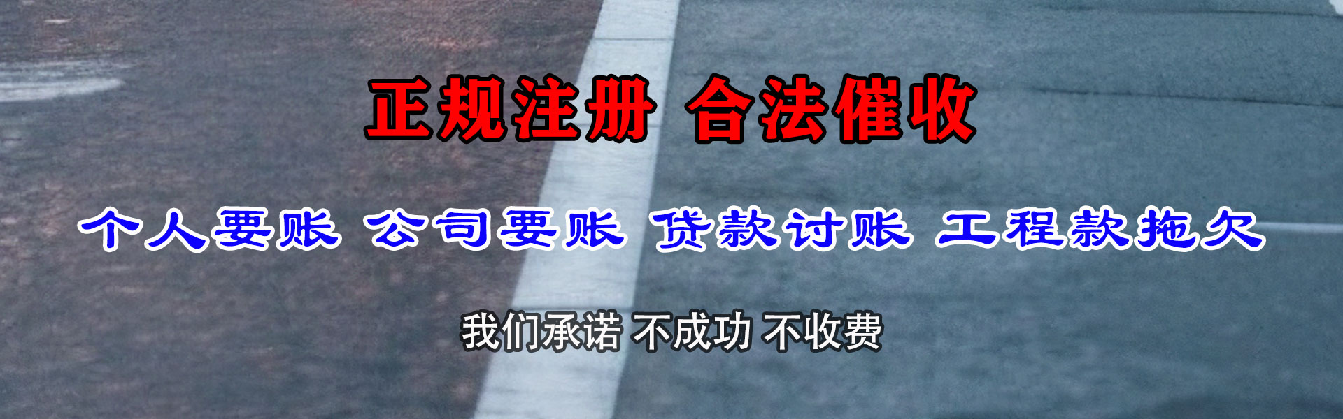 居巢追债公司